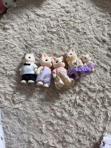 sylvanian