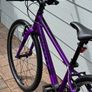 Giant ARX 24" Junior Bike - Purple Image 5