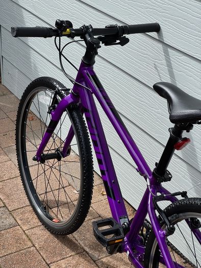 Giant ARX 24" Junior Bike - Purple