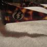 ELECTRIC crossover ladies sunglassses Image 6
