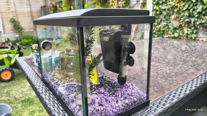 Fish tank and accessories