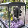 Fish tank and accessories Image 2