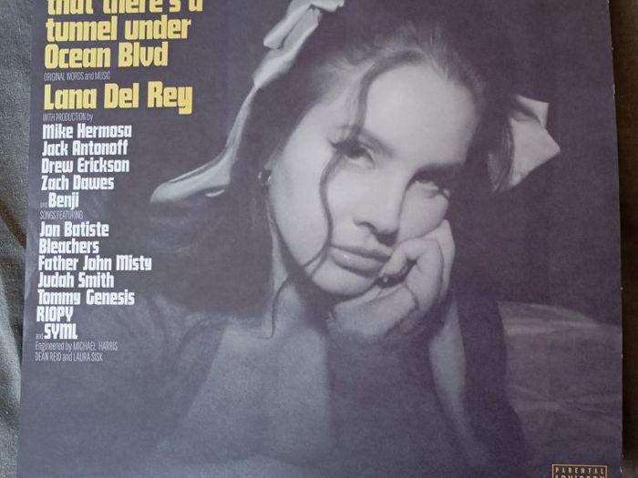 vinyls Lana del Rey and the Weeknd Starboy