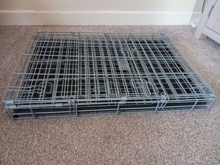 House training and travelling crate