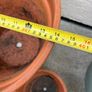 x3 Large Terracotta pots x2 Small ceramics pots Image 10