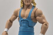 WWE Mr Perfect  - Legends Series 2 Wrestling Action Figure