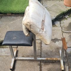 Preacher Bench
