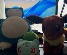 Pokemon plush