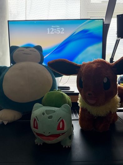 Pokemon plush