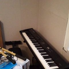 Roland 300-NX Stage Piano