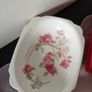 Aynsley " Elizabeth Rose" Image 4