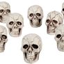 Halloween Decorative Skull Set of 12 Skull Heads Party Accessory Image 2