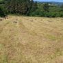 Hay Image 3