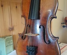 15 inch Viola