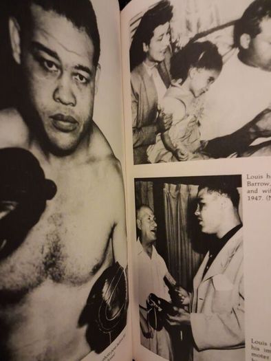 Champion Joe Louis / A Biography  / Chris  Mead /1st. Ed. / 1986