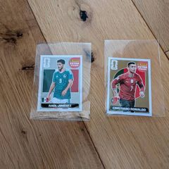 Panini World Cup Extra Stickers Bundle