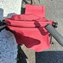 buggy Image 10