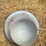 Arklow tea set Image 5