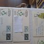 FDC Stamps.150 years of IRFU. Image 6
