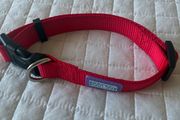 Dog Collar