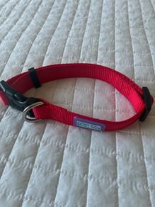 Dog Collar