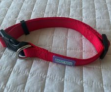 Dog Collar