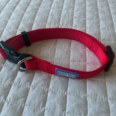 Dog Collar