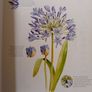 The Water Colour Flower Painter A-Z Book Image 2