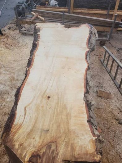 Hardwood timber