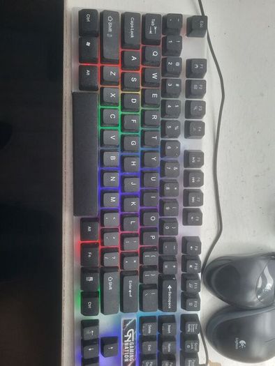gaming keyboard and usb mice
