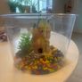 fish bowl Image 2