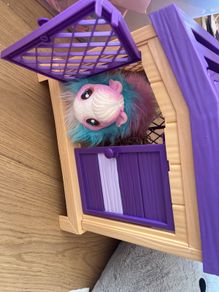 little live pet sets x3