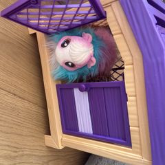 little live pet sets x3