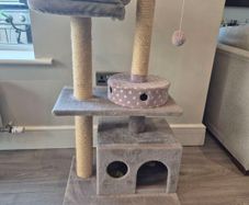 Cat Tower and Scratch Post