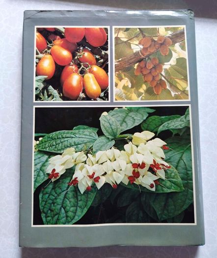 Gardening Books (used).