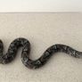 Jon Anderson Fimo Creations Polymer Clay Snake Image 3