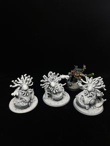 Warhammer - Beasts of Nurgle