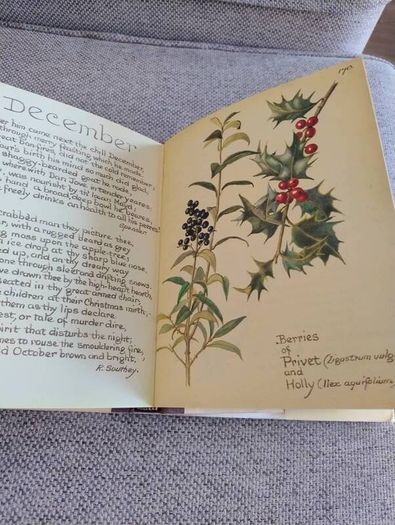 The Country Diary of an Edwardian Lady 1979 by Edith Holden in very good condition with some wear to the dustcover see photos FREE STANDARD POSTAGE INCLUDED