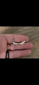 Stainless steel earrings
