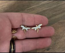 Stainless steel earrings
