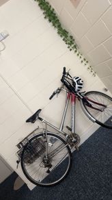 Cycle