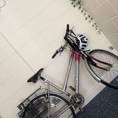 Cycle