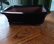 Bonsai Planter Glazed terracotta