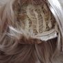 Wigs Image 2