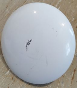 Ubiquiti NanoBeam M5 NBE-M5-19 19dBi !!! without lid on back side !!!