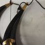 Buffalo horns Image 3
