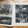 The Graphic newspaper Jan 21, 1871 Image 2