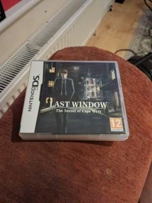 rare ds game last window