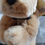 Keel toys simply soft collection dog (Mr) (1062)  1 Image 6