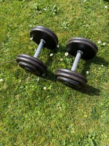 12.5kg Dumbbells x2